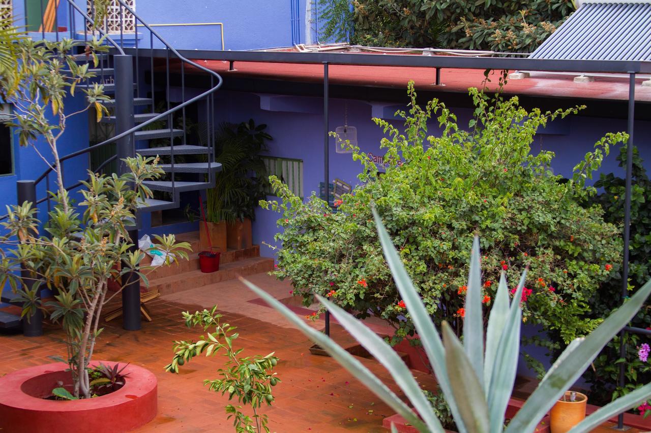 Oaxaca Boca Del Monte By Diablo Y La Sandia B&B المظهر الخارجي الصورة